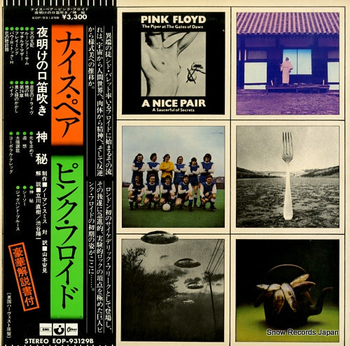 PINK FLOYD a nice pair EOP-93129B