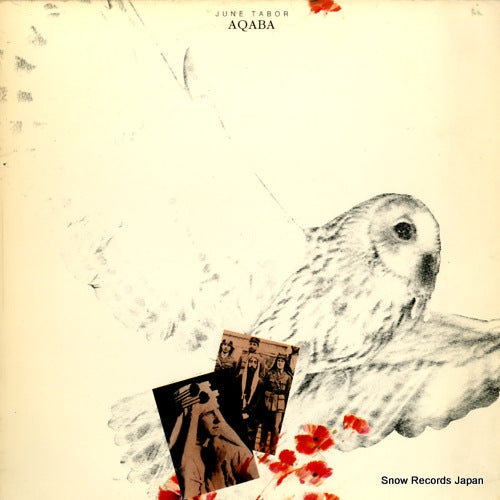 TABOR, JUNE aqaba SHANACHIE79070