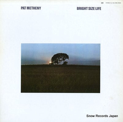 METHENY, PAT bright size life 20MJ9032