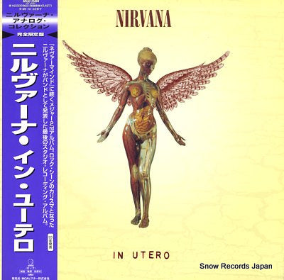NIRVANA in utero MVJG-25004