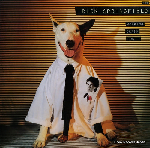 SPRINGFIELD, RICK working class dog RPL-2133