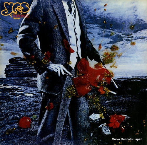 YES tormato P-10572A