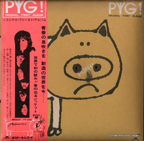 PYG pyg! original first album MR5007