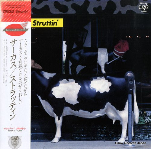 CIRCUS struttin' 30137-25