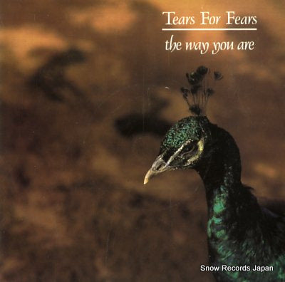 TEARS FOR FEARS the way you are IDEA6