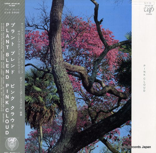 PINK CLOUD plant blend 30160-28