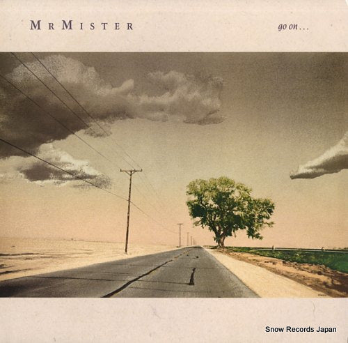 MR. MISTER go on 6276-1-R