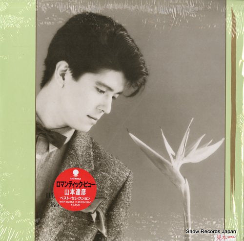 YAMAMOTO, TATSUHIKO romantic view WTP-90251