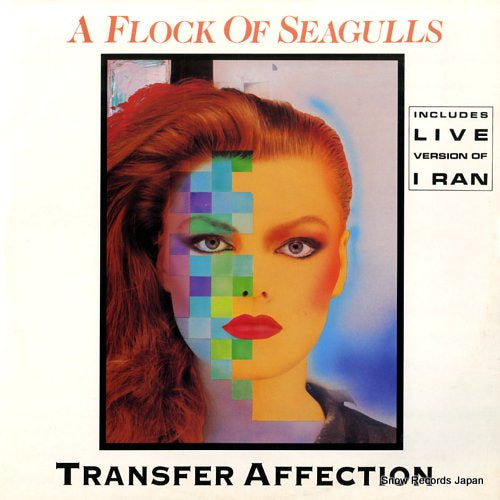 FLOCK OF SEAGULLS, A transfer affection JIVET41