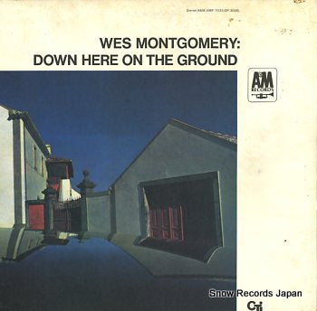 MONTGOMERY, WES down here on the ground AMP-7033