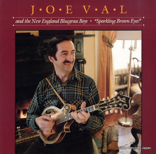 VAL, JOE sparkling brown eyes ROUNDER0152