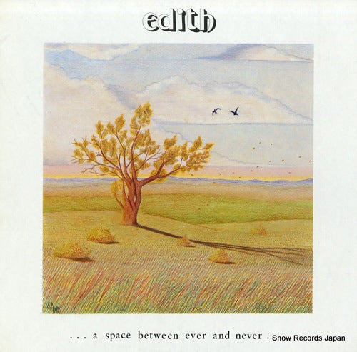 EDITH a space between ever and never ETH001