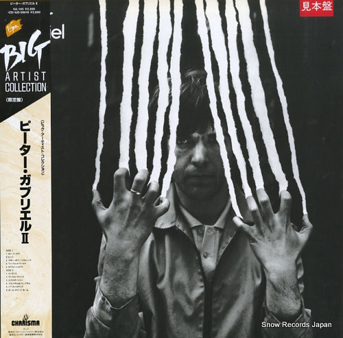 GABRIEL, PETER peter gabriel VJL-145