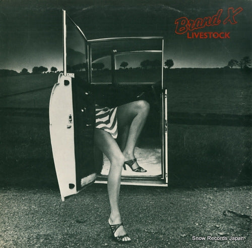 BRAND X livestock CLASS5