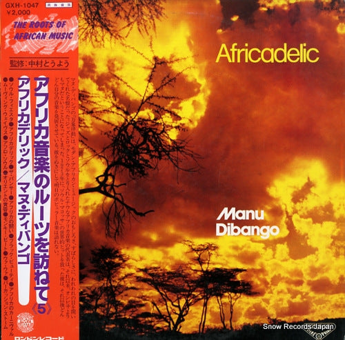 DIBANGO, MANU the roots of african music 5 africadelic GXH-1047