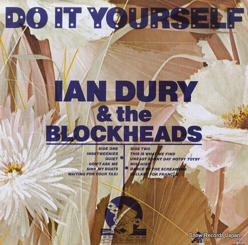 DURY, IAN do it yourself VIP-6673