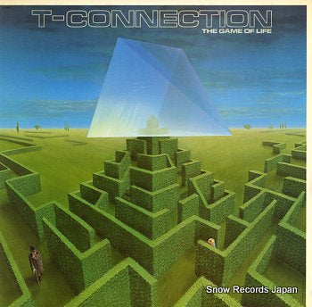 T-CONNECTION game of life, the ST-12264