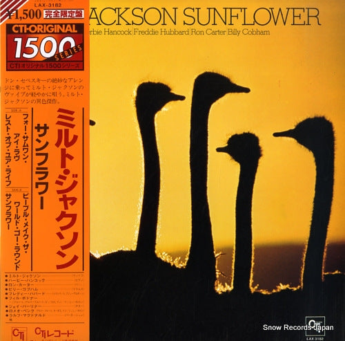 JACKSON, MILT sunflower LAX-3182