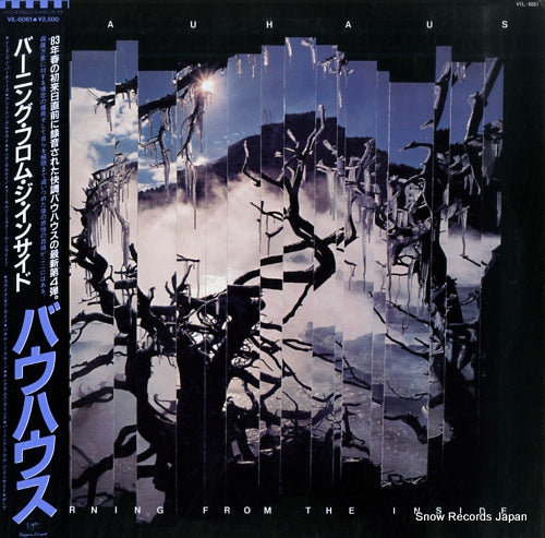 BAUHAUS burning from the inside VIL-6061