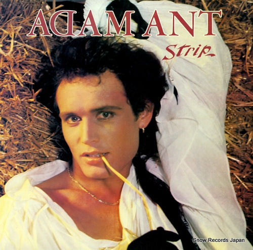 ANT, ADAM strip FE39108