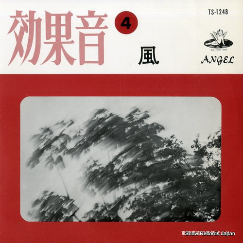 SOUND EFFECT wind TS-1248