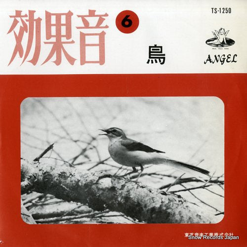 SOUND EFFECT birds TS-1250