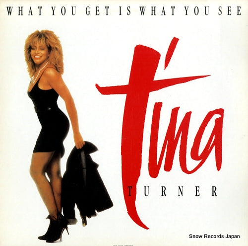 TURNER, TINA what you get is what you see S12-5006