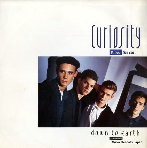CURIOSITY KILLED THE CAT down to earth CATX2