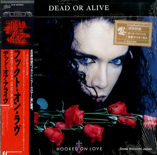 DEAD OR ALIVE hooked on love 18.3P-810