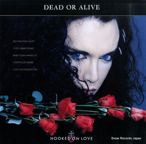 DEAD OR ALIVE hooked on love 18.3P-810