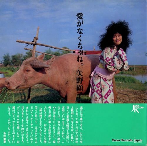 YANO, AKIKO ai ga nakuchane YNJ-1 / JAL-1801