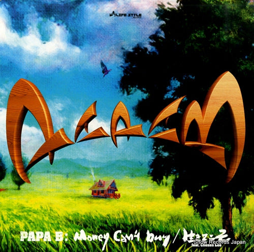 PAPA B money can't buy LSR-020