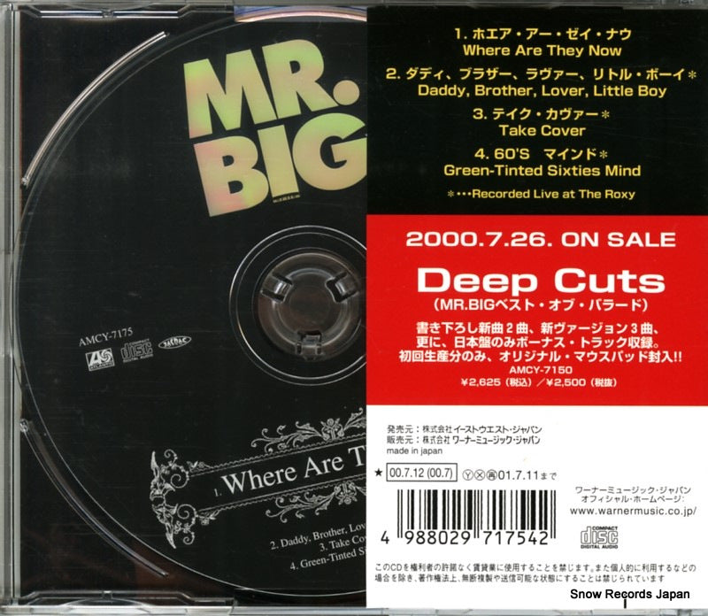 AMCY-7175 back cover