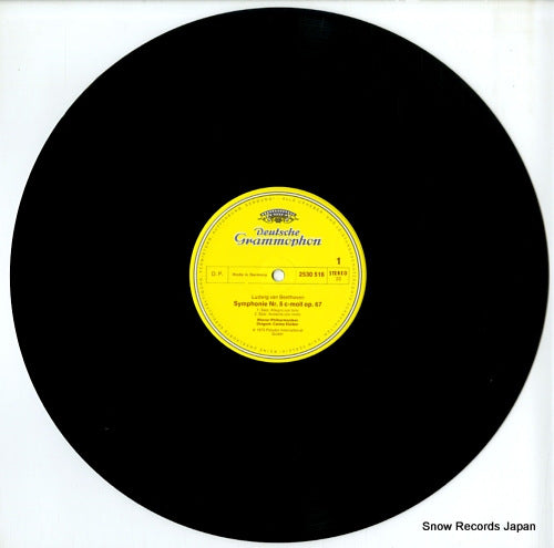 2530516 disc