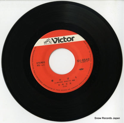 SV-6542 disc