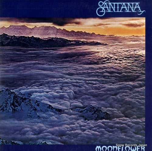 40AP787 front cover