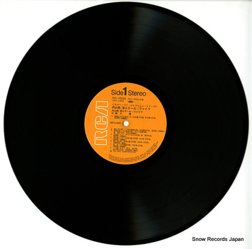 RVL-10025 disc