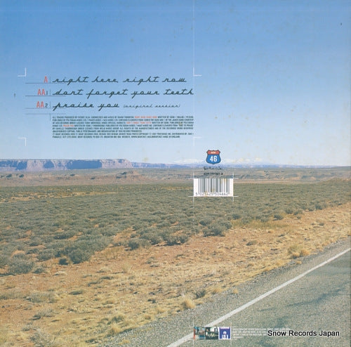 SKINT46 back cover