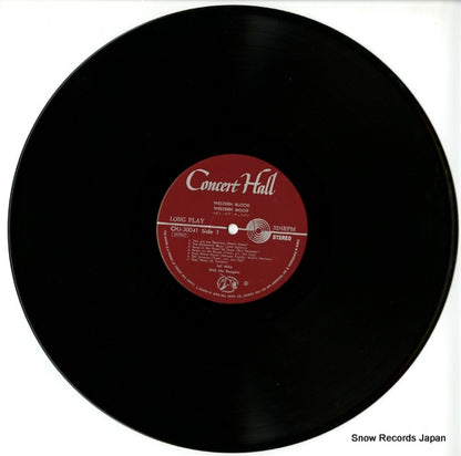 CHJ-30041 disc