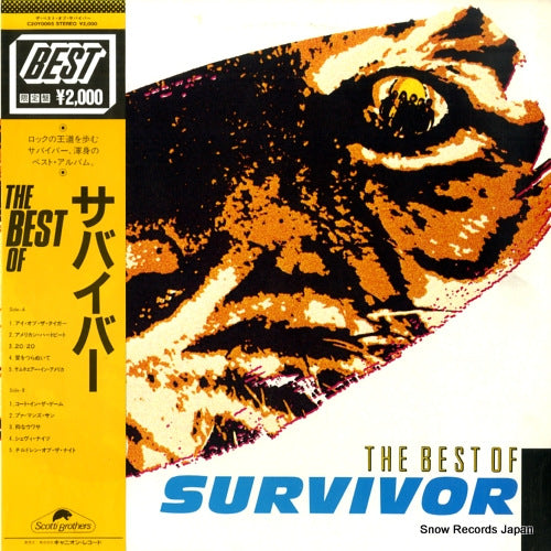 C20Y0065 front cover