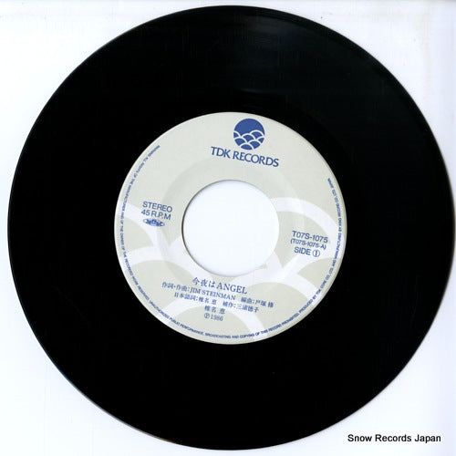 T07S-1075 disc