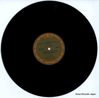 13AC446 disc