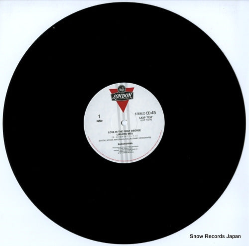 L13P7137 disc