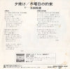 SOLB290 back cover