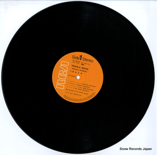 RVL-8030 disc