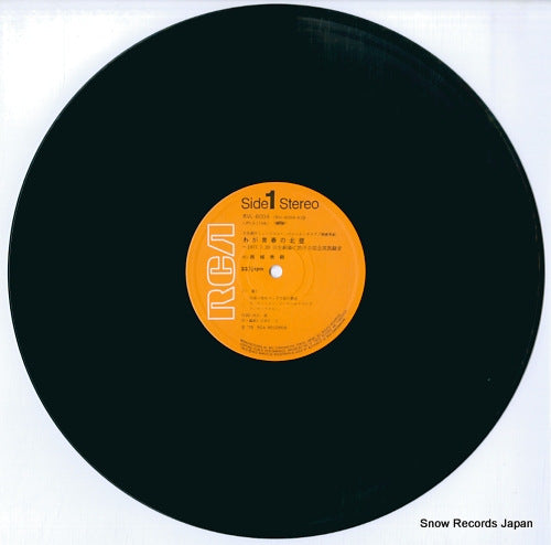RVL-6004 disc