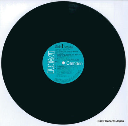 RGP-1001 disc