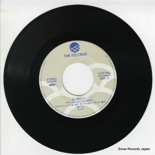 T07S-1080 disc