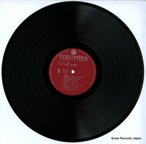 NP-7034 disc