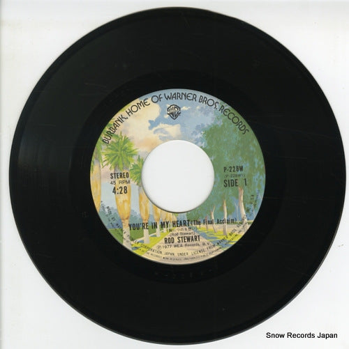 P-228W disc
